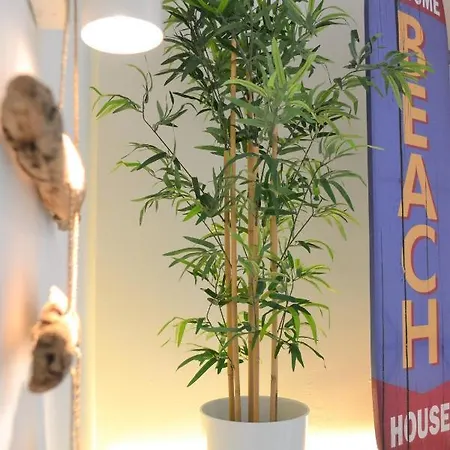 Surf Spot Deluxe Ftv By Sea There Fuerteventura 코라레호