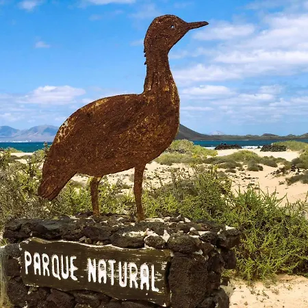 Surf Spot Deluxe Ftv By Sea There Fuerteventura 아파트 코라레호