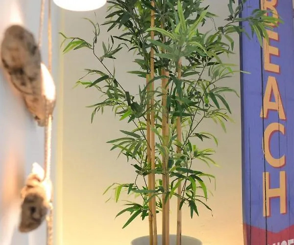 Surf Spot Deluxe Ftv By Sea There Fuerteventura Коральео