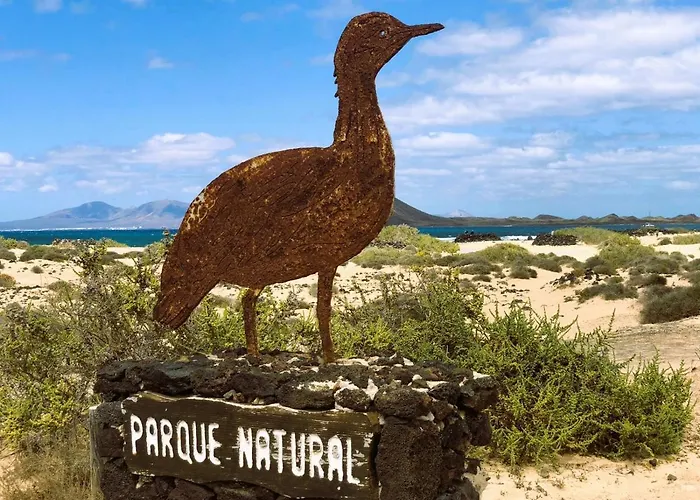 Surf Spot Deluxe Ftv By Sea There Fuerteventura Апартаменты Коральео